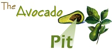 Avocado Pit