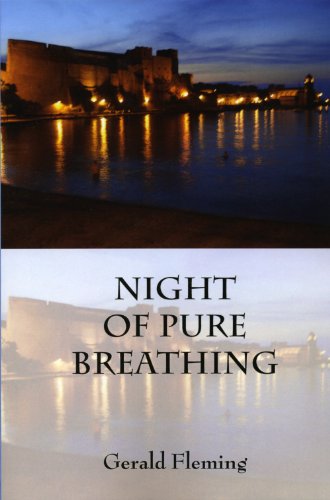 Image for NIGHT OF PURE BREATHING