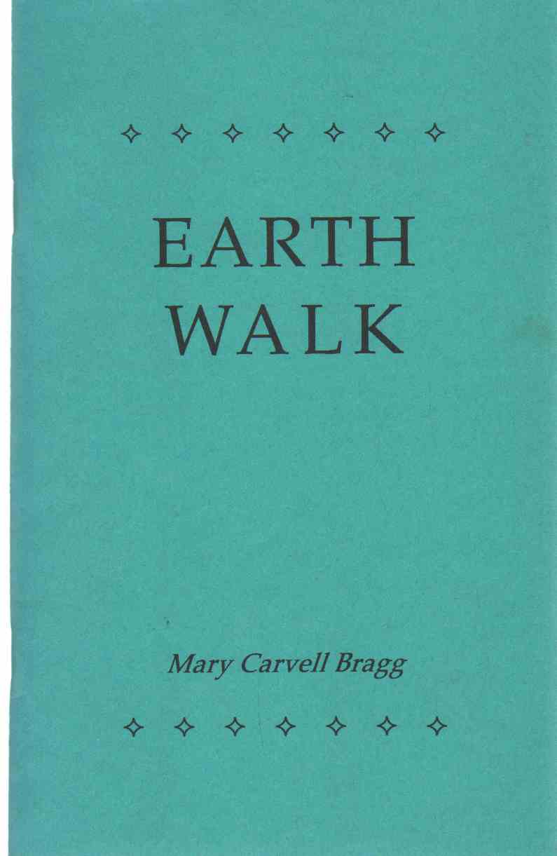 Image for EARTH WALK