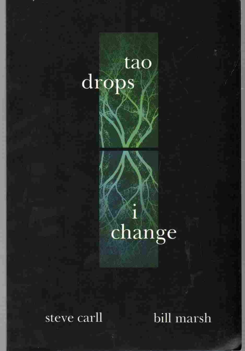 Image for TAO DROPS, I CHANGE